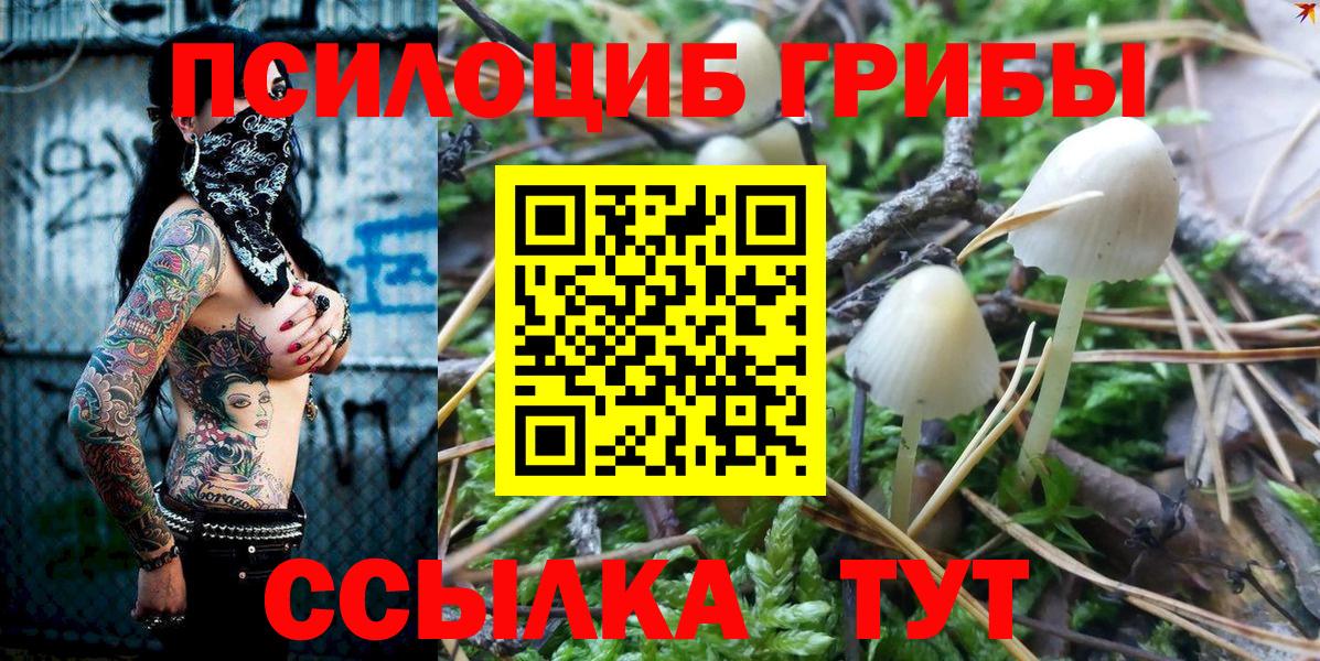 как найти наркотики  Галлюциногенные грибы мухоморы  Вход с VPN  Псилоцибиновые грибы ЛСД  Егорьевск 