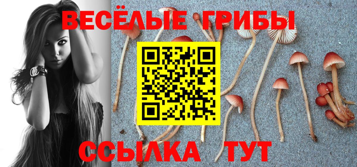 Галлюциногенные грибы прущие грибы Егорьевск